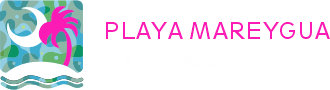 Playa Mareygua